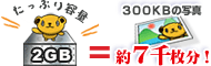 たっぷり容量２ＧＢ！３００ＫＢの写真が約７千枚